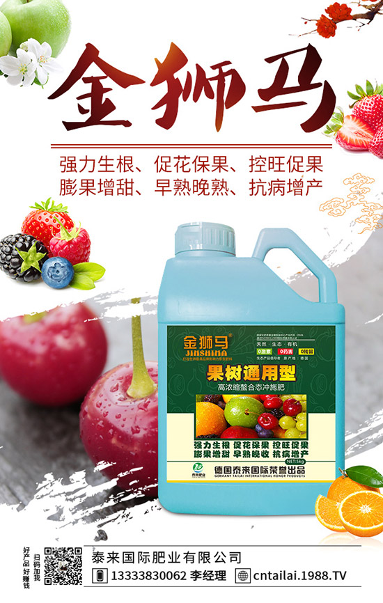 2020Nֲ޼ٍX޼ķNֲcЈǰΣ