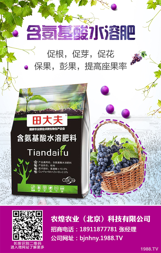 ѩ^(gu)߲˴֪ԓô᣿