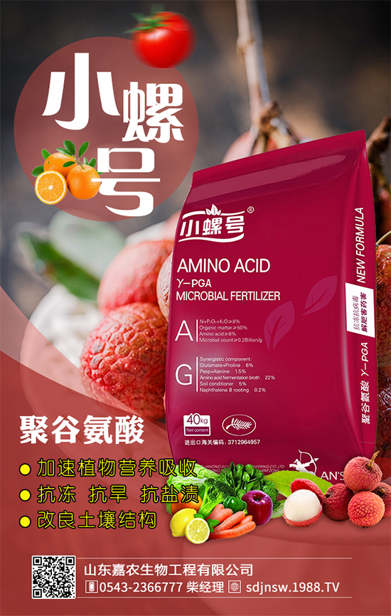 金針菇什么時(shí)間栽培?金針菇生長(zhǎng)條件!