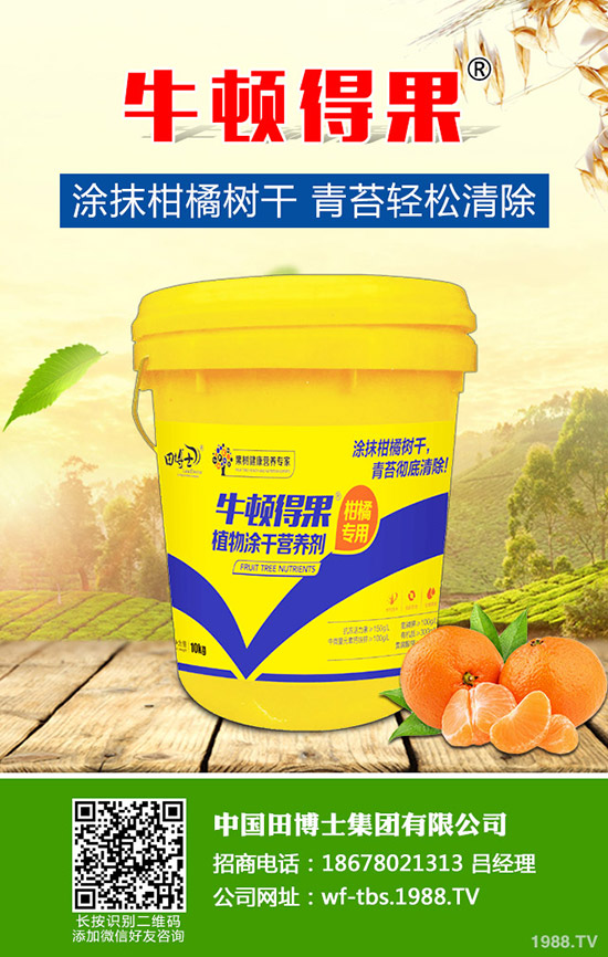 2020NݮٍXݮNֲĳɱǰAy