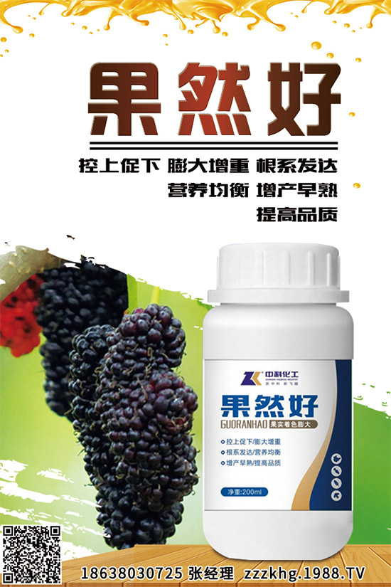 金線(xiàn)蓮有哪些營(yíng)養(yǎng)價(jià)值?金線(xiàn)蓮的功效作用及食用方法