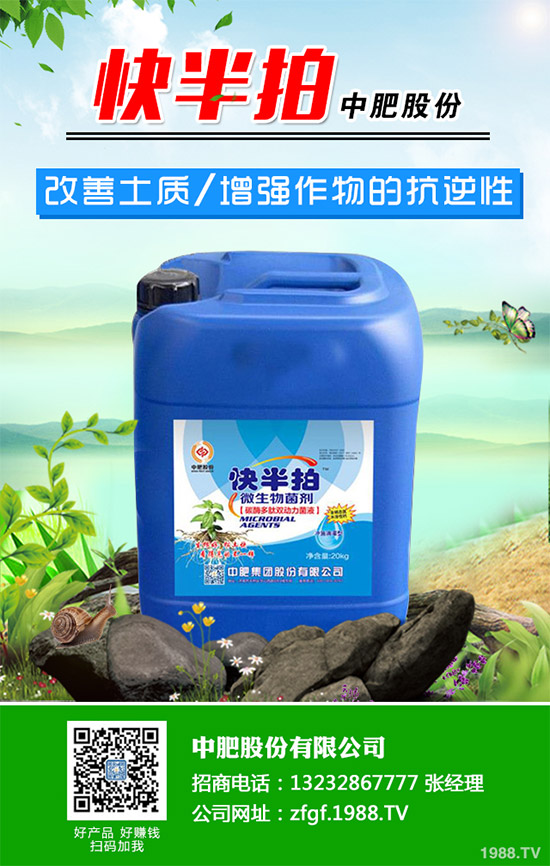 金線蓮該如何種植?金線蓮的種植及養(yǎng)管理