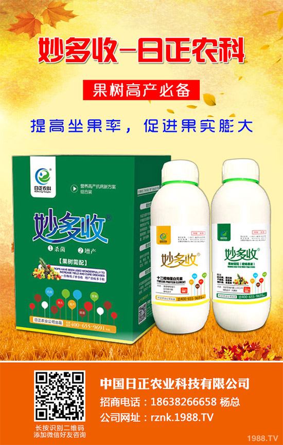 金線蓮該如何種植?金線蓮的種植及養(yǎng)管理