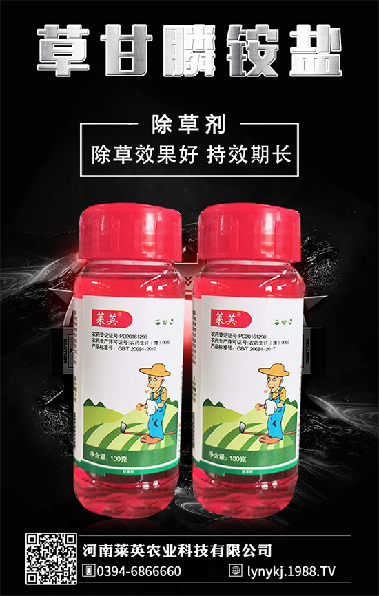 橙子價(jià)格如何?貴么?2020種植橙子賺錢(qián)么?種植前景怎么樣?