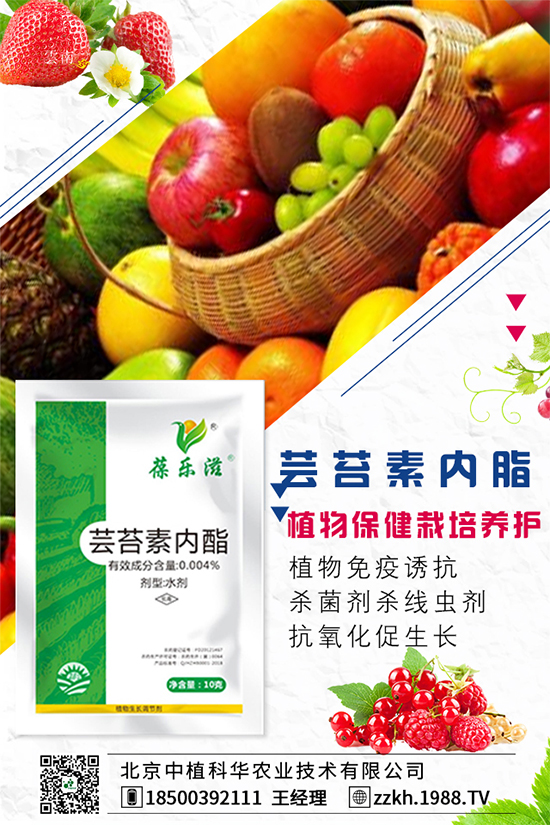 彩椒什么時間種植?彩椒的高產種植方法!