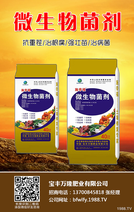 花生什么時(shí)候種植,花生播種技術(shù)要點(diǎn)總結(jié)