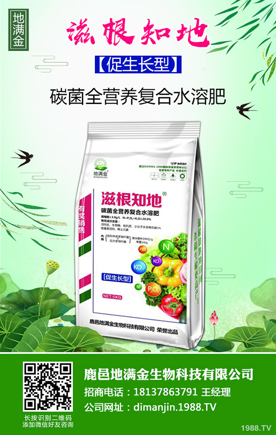 甜糯玉米什么時候種植?種植時間及種植技術(shù)和管理方法!