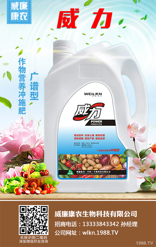 木耳菜不僅好吃而且營養(yǎng)豐富,它含有極其豐富的營養(yǎng)元素,特別是鈣、鐵等元素的含量非常的高,下面小編就為大家講述一下木耳菜的采收方法,一起來看看吧!