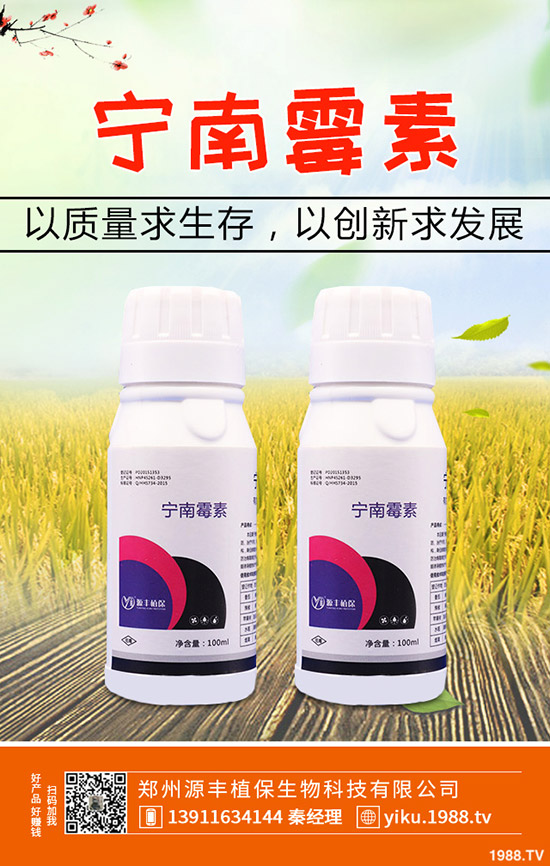 ķNֲǰôӣķNֲg(sh)Щ