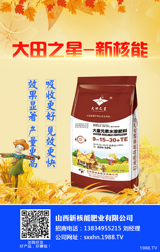 2020年早春辣椒什么時(shí)候種植?育苗技術(shù)及苗期管理要點(diǎn)!