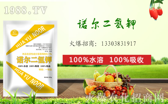 (zhn)ԺZHy1988.TVل(chung)x