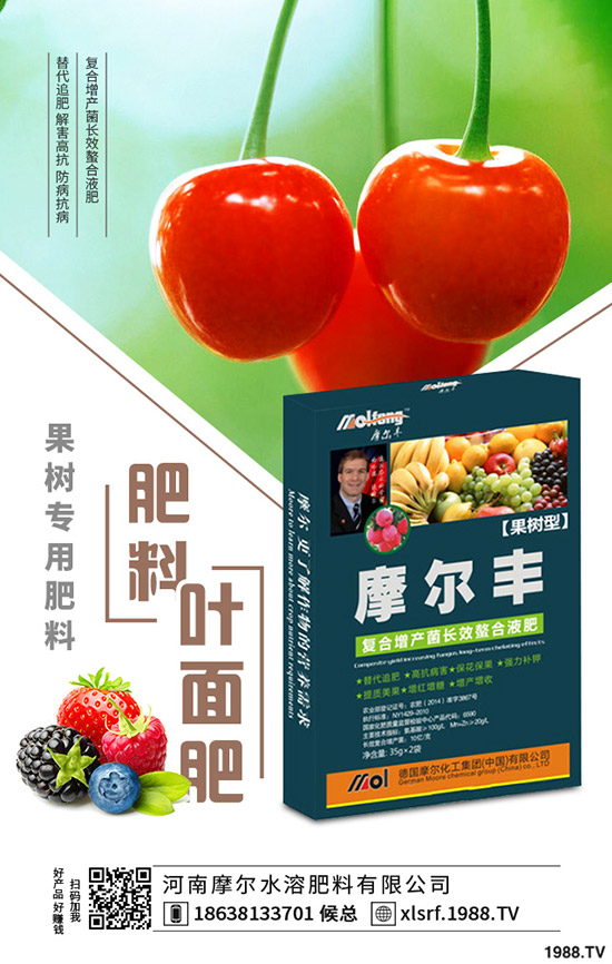 SNֲג겻XSNֲҪc