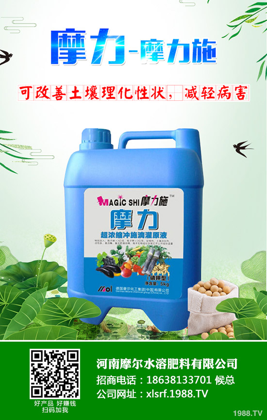 ʲôϺãʩʼg(sh)Щ