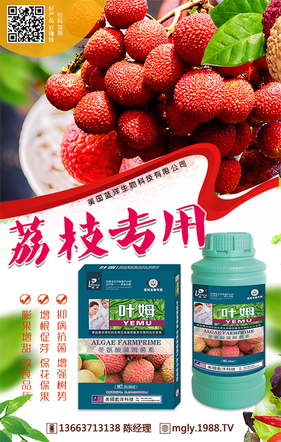 t탦(ch)صأt탦(ch)Щ