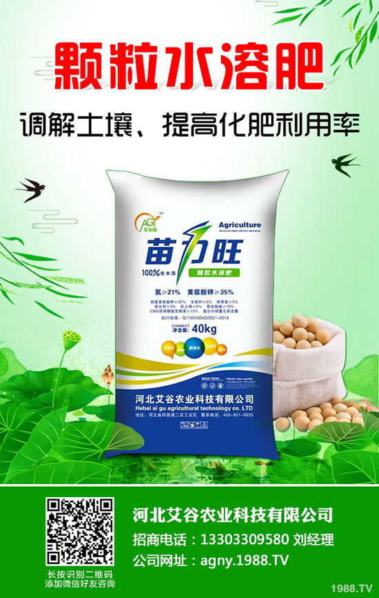 Ĳʩʮa(chn)ĲʩʼЩ