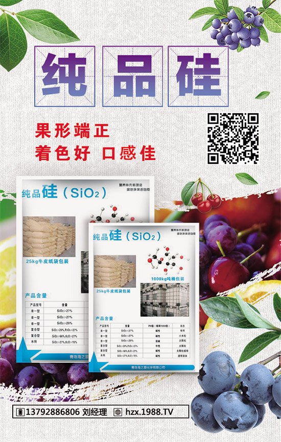 青島海之星再度攜手1988.TV,攜手共贏2020!