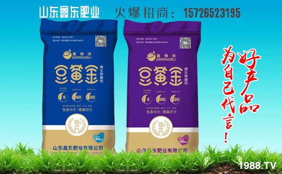 1988.TVϲӭɽ|Ζ|ʘI(y)(qing)݁uA2020