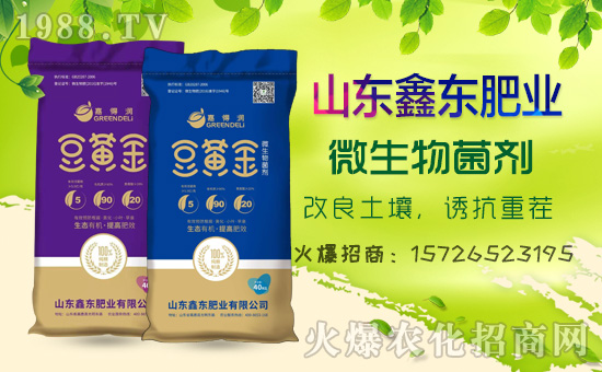 1988.TVϲӭɽ|Ζ|ʘI(y)(qing)݁uA2020