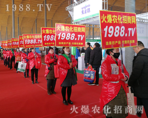     201930úӱֲ(hu)r(nng)W(wng)ҊCИI(y)ʢ(hu)ل(chung)ѿ(j)