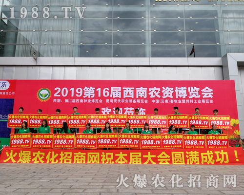     2019r(nng)Y[(hu)r(nng)W(wng)o̎