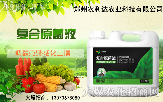 r(nng)_(d)ٶȔy1988.TV_ؾW(wng)j(lu)¾棡