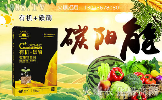 r(nng)_(d)ٶȔy1988.TV_ؾW(wng)j(lu)¾棡