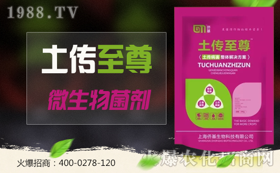 上海僑基生物再度攜手1988.TV,攜手再創(chuàng)新輝煌!