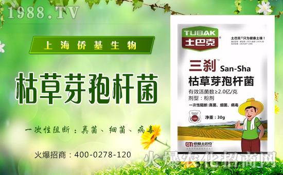 上海僑基生物再度攜手1988.TV,攜手再創(chuàng)新輝煌!