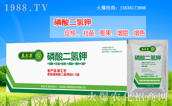 合作再升級,英爾果植物攜手農(nóng)化網(wǎng)共筑網(wǎng)絡(luò)招商路!