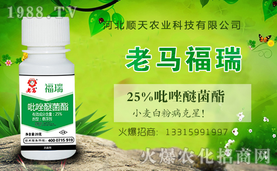 火爆農(nóng)化網(wǎng)再簽河北順天農(nóng)業(yè),促進戰(zhàn)略合作再升級!