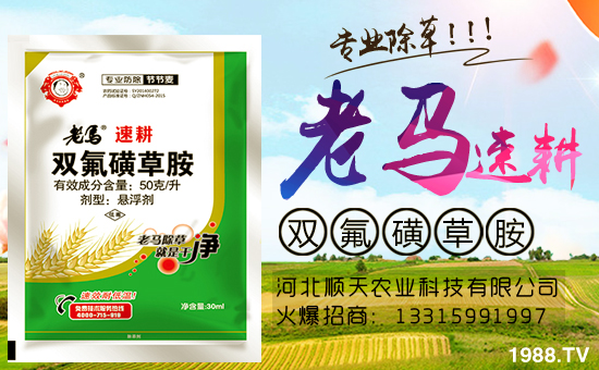 火爆農(nóng)化網(wǎng)再簽河北順天農(nóng)業(yè),促進戰(zhàn)略合作再升級!