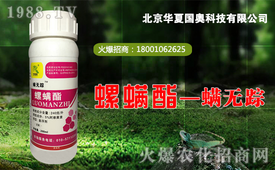     P(yng)޲R^ƵZǰVƪAćWƼ޹˾r(nng)̾W(wng)ϴn˴ٴ_(d)ɺpĹͬŬ£AćW(hu)ߵĸ(wn)