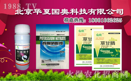 AćWٺr(nng)W(wng)(sh)F(xin)vw(mng)