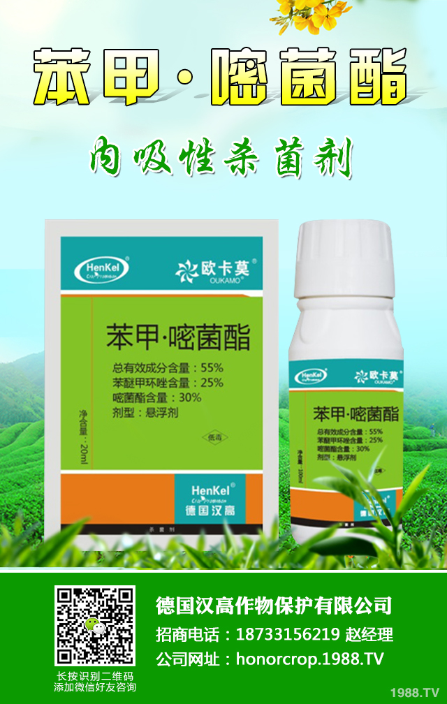 芋頭病蟲害怎么辦?芋頭病蟲害防治好方法