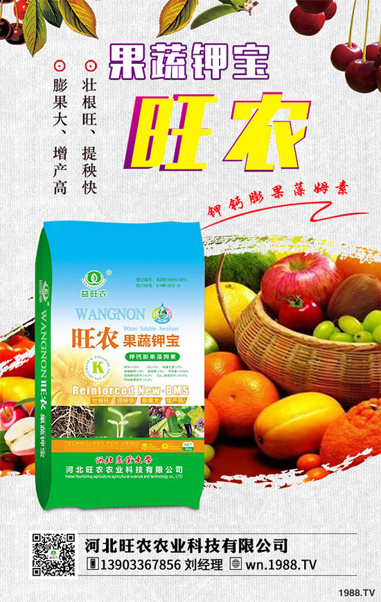 ķNֲrgҪcЩ