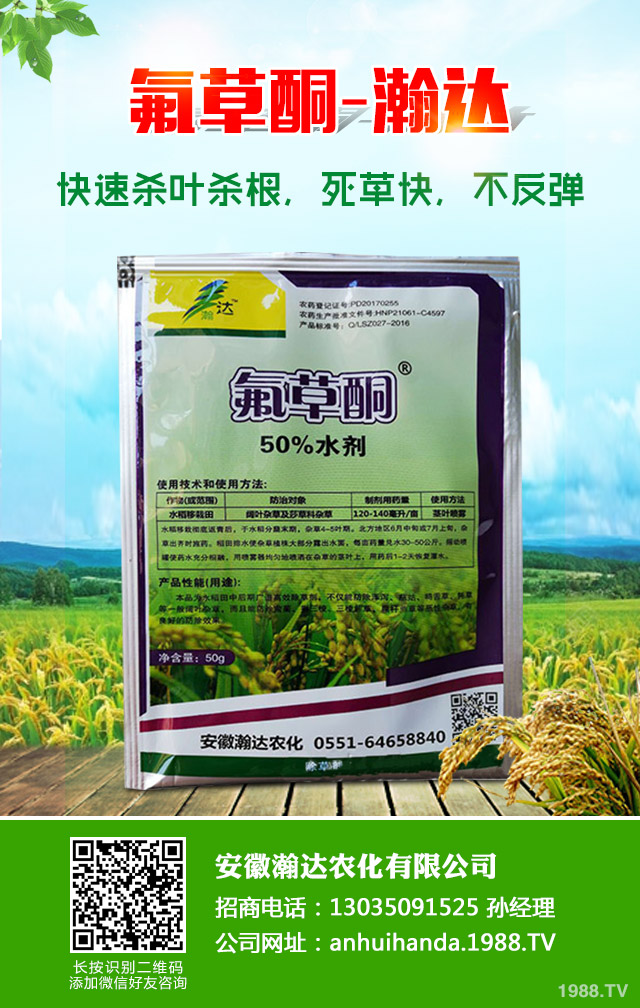 水稻青苔怎么辦?水稻青苔防治方法