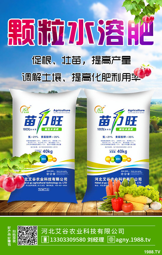 秋季草莓如何施肥?秋季草莓定植管理技術及施肥、水肥管理方法!