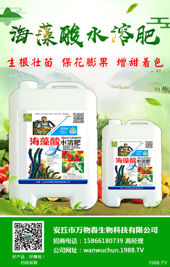 ＾ηNôײҪעʲô