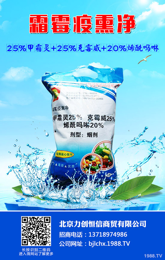 卷心菜怎么種?卷心菜的家庭種植技術