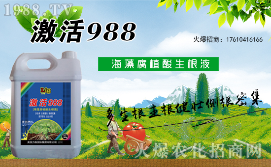 英國力格再度攜手1988.TV,攜手共創(chuàng)新戰(zhàn)績!再創(chuàng)輝煌!