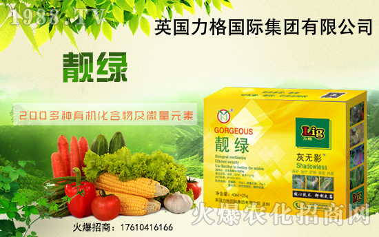 英國力格再度攜手1988.TV,攜手共創(chuàng)新戰(zhàn)績!再創(chuàng)輝煌!