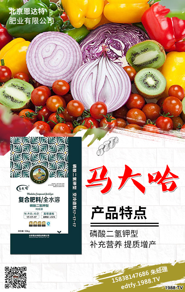 ߲ʩдЩ}߲˷Nֲg(sh)