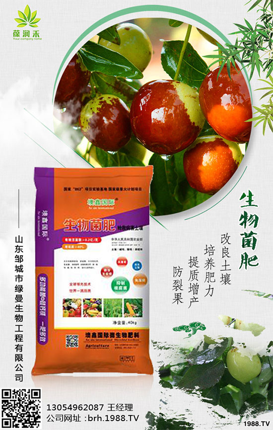 ηNֲֲ༼gҪcЩ