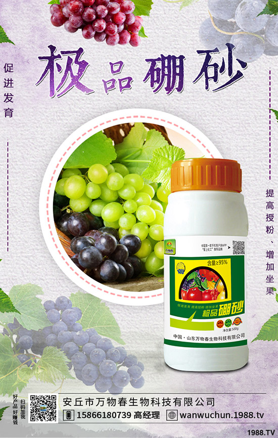 枸杞如何種植,枸杞種植條件有哪些?