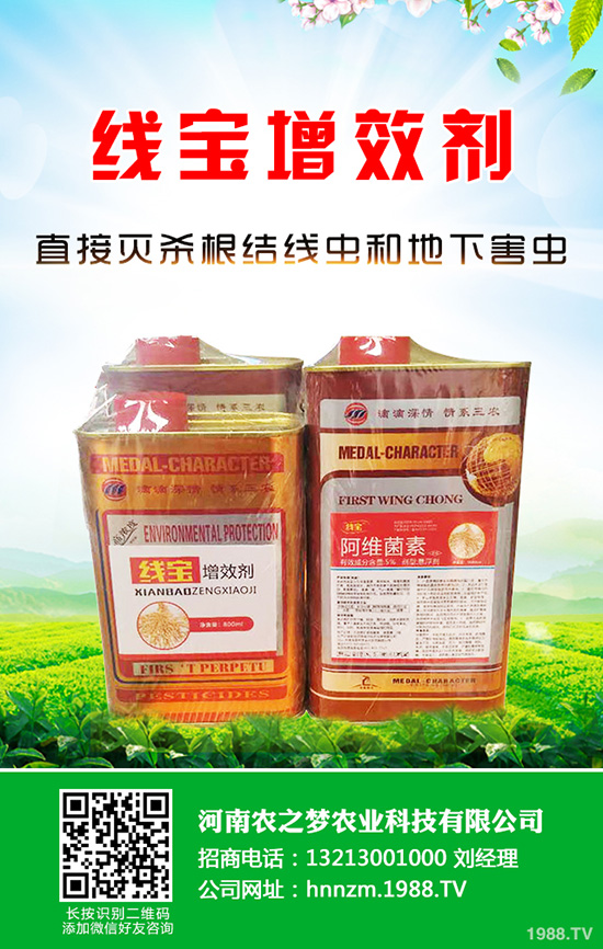 芹菜軟腐病是如何引起的?該怎樣防治?快來看看吧!