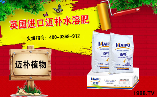 Ӣ~cr(nng)W(wng)m(x)ǰyֹ(chung)xͣ