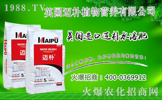 Ӣ~cr(nng)W(wng)m(x)ǰyֹ(chung)xͣ