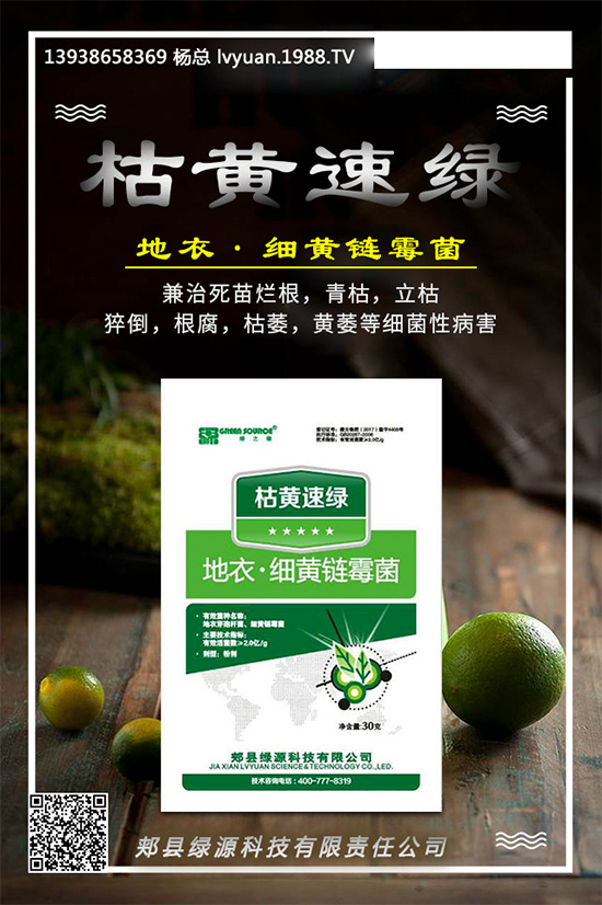 芹菜早疫病有哪些危害？是如何發(fā)生的？芹菜早疫病的發(fā)生與防治