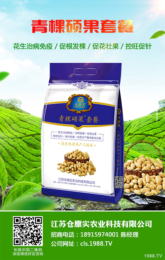 ۲˲Σ޴ԓη۲˲ķδʩ