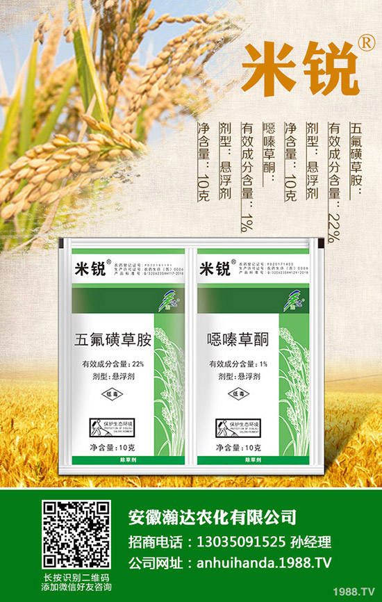 吃菠菜有哪些好處?菠菜的營養(yǎng)價(jià)值有哪些?